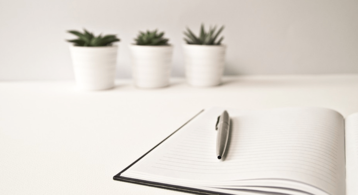 Contoh Nama PT Perorangan