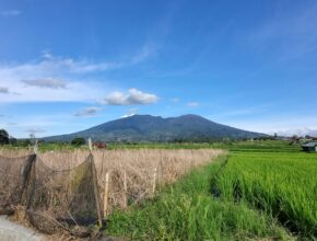 Lahan berpagar dengan latar gunung di Sumatra Barat, ilustrasi usaha perikanan budidaya