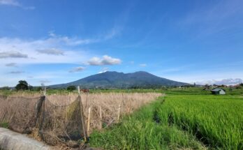 Lahan berpagar dengan latar gunung di Sumatra Barat, ilustrasi usaha perikanan budidaya