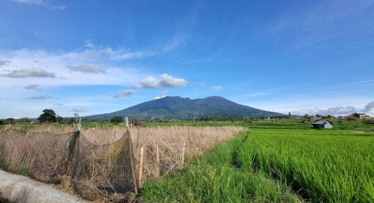 Lahan berpagar dengan latar gunung di Sumatra Barat, ilustrasi usaha perikanan budidaya